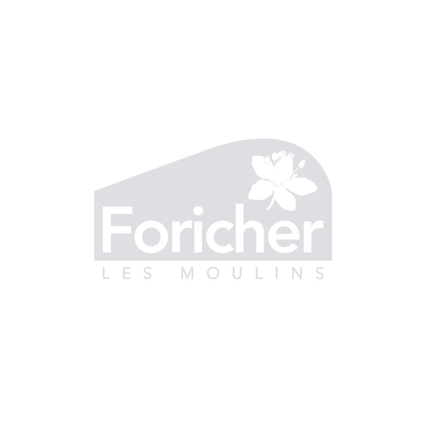 Foricher