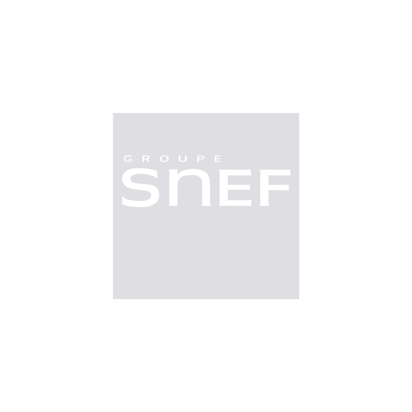 Groupe Snef