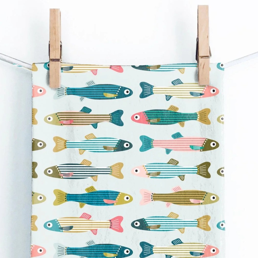 Minnows.jpg
