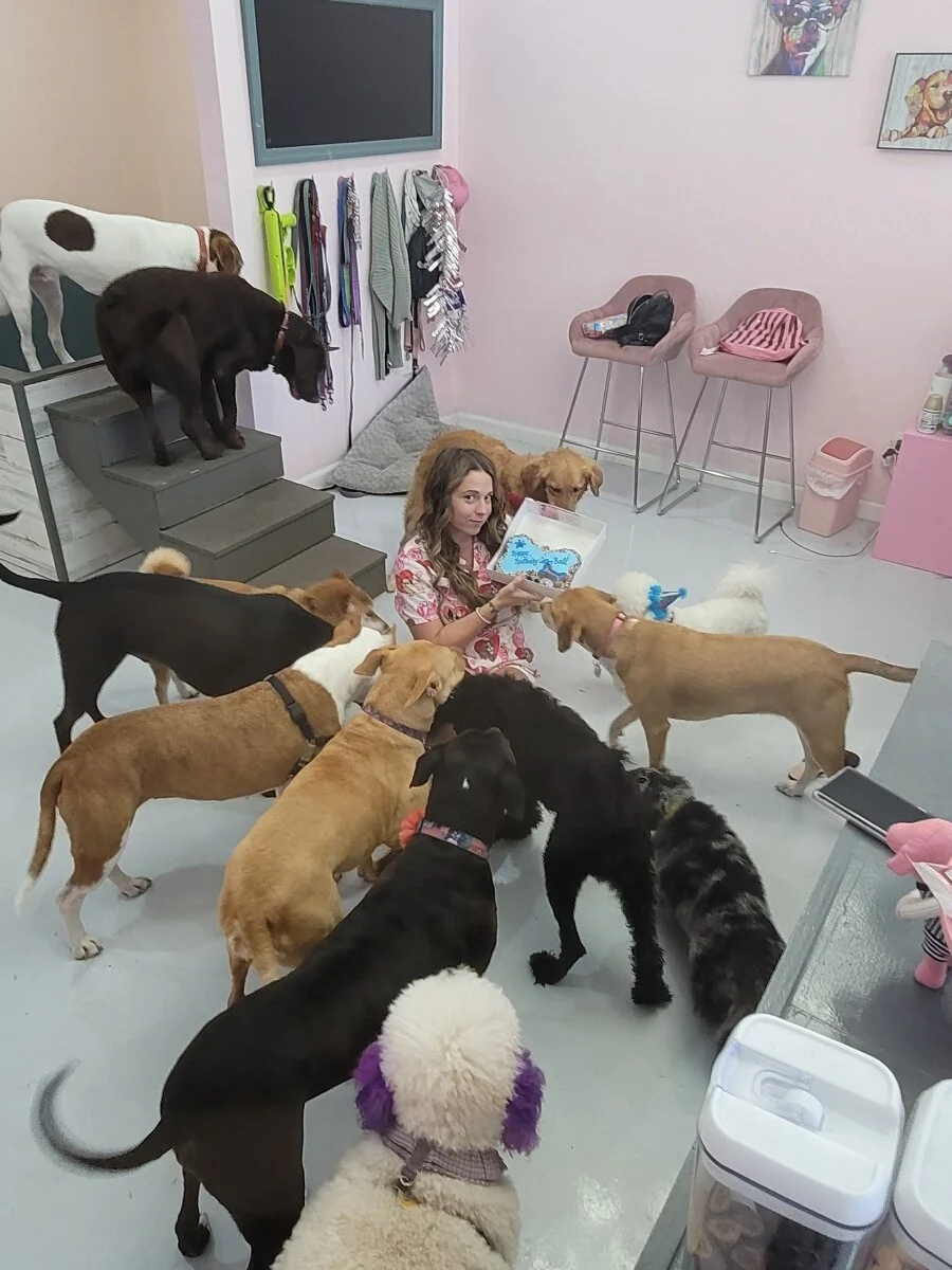 Owner, Jennifer Elder, is surrounded by 11 curious dogs as she holds up a dog-friendly birthday cake.