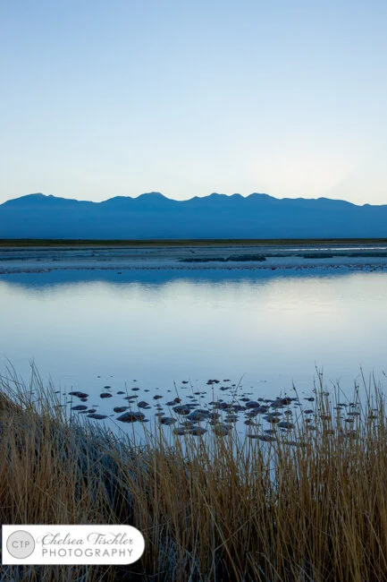 Chaxa Lake at sunrise