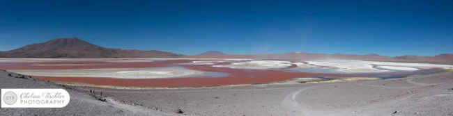 Panorama of Laguna Colorada