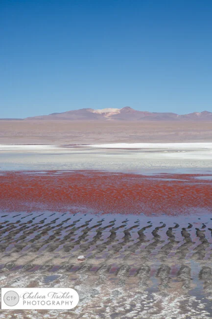 Laguna Colorada