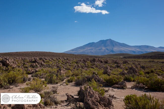 Valle de Rocas, created by a volcanic explosion.  The rocks were projected into the ground at an angle due to the force of the volcano’s eruptions, and they have lay dormant for thousands of years with little erosion because of the arid climate.