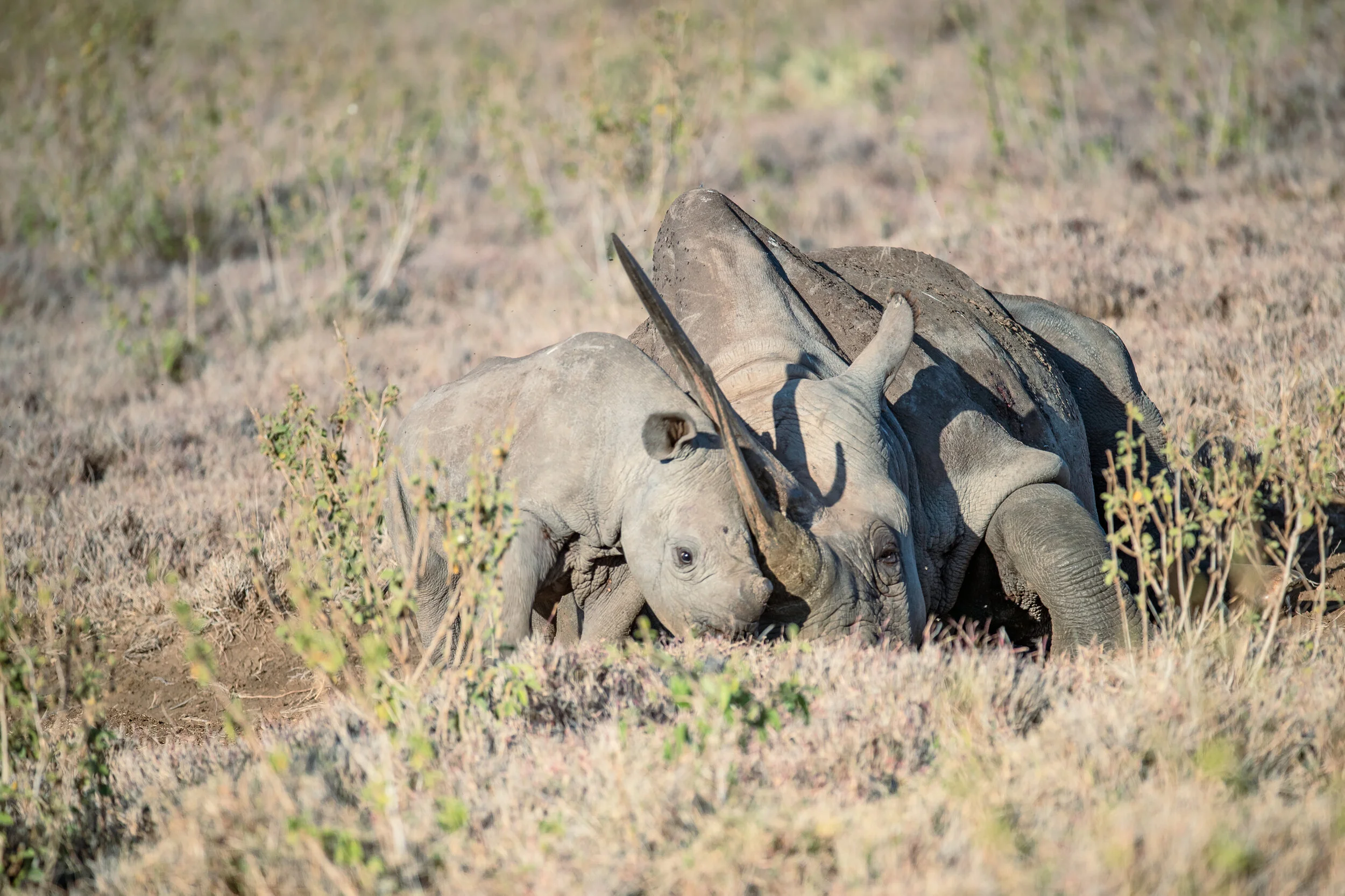 2021_ChelseaTischler_Kenya_015.jpg