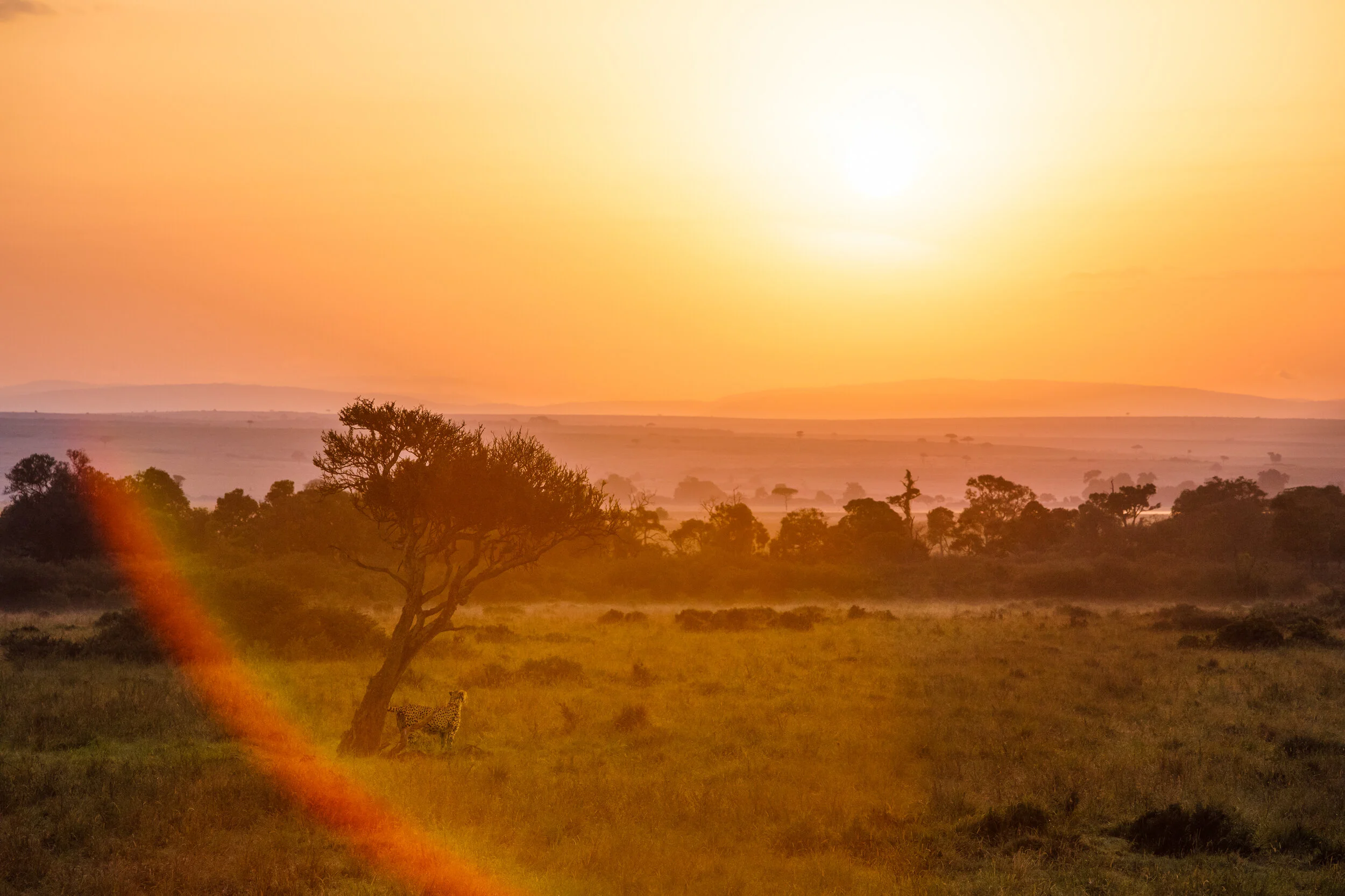 2021_ChelseaTischler_Kenya_032.jpg