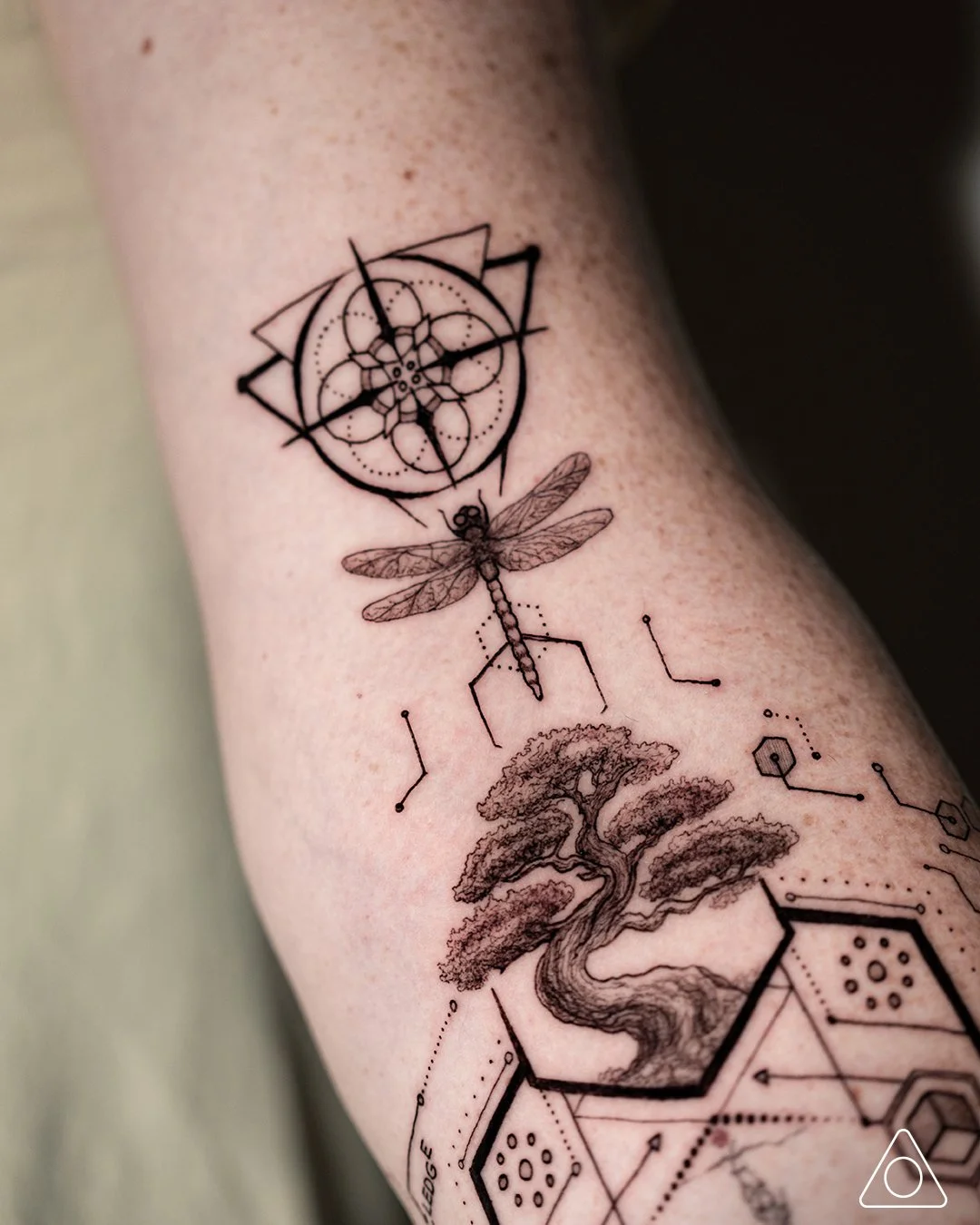 Detailed black and grey tattoo featuring a dragonfly, bonsai tree, and compass geometry, representing transformation, knowledge, and direction, tattoo art by 1MM Tattoo in Dallas, Texas