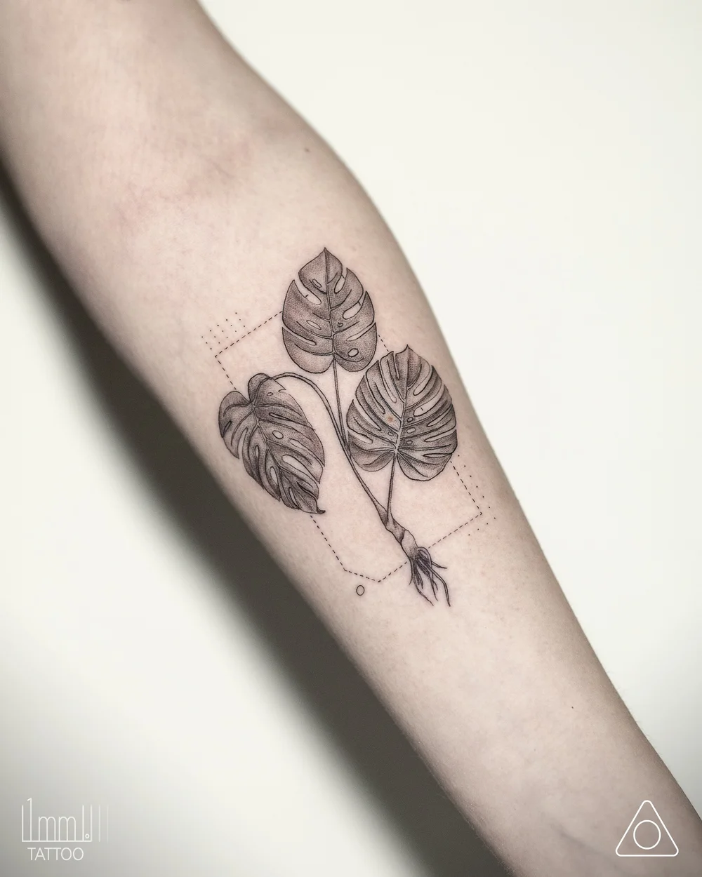GEOMETRIC MONSTERA — 1MM Tattoo Studio
