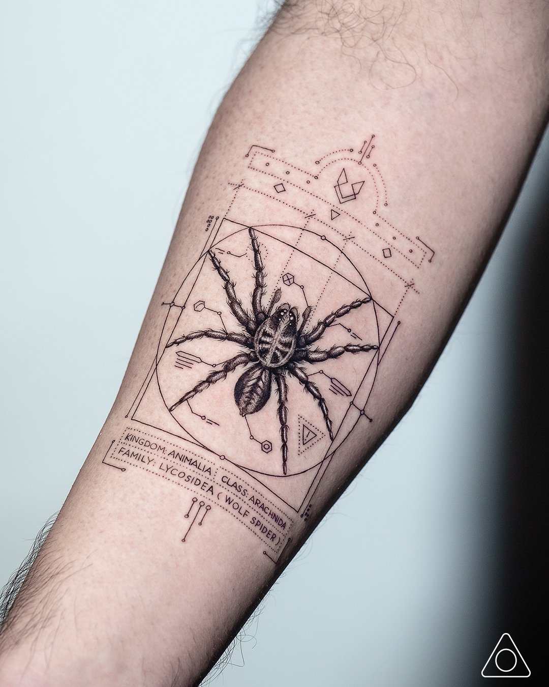 Wolf spider 🕷 by... - Just Another Hole in the Wall Tattoo | Facebook
