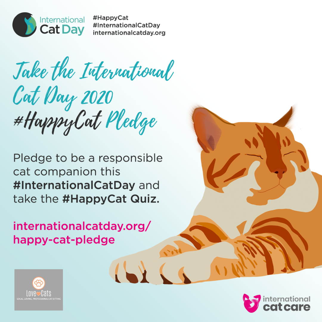 International Cat Day — Love ♡ Cats Croydon Cat Sitter