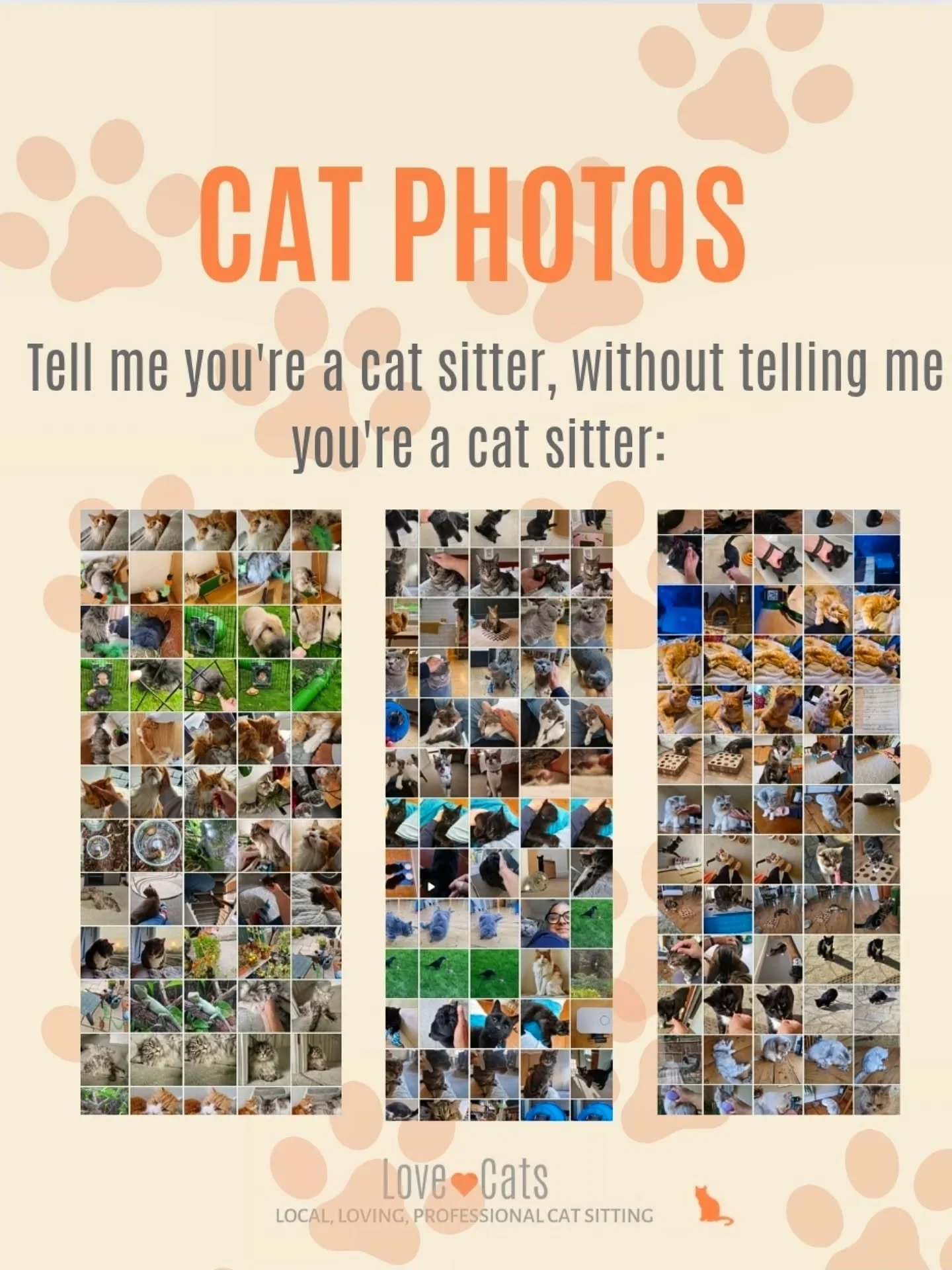 It's official. My phone literally can't take any more photos! It's full of images of your kitty cats, and they're all glorious, BUT they've gotta go.

I'm going to delete all pics up to this month, so if you want me to send you any I might still have