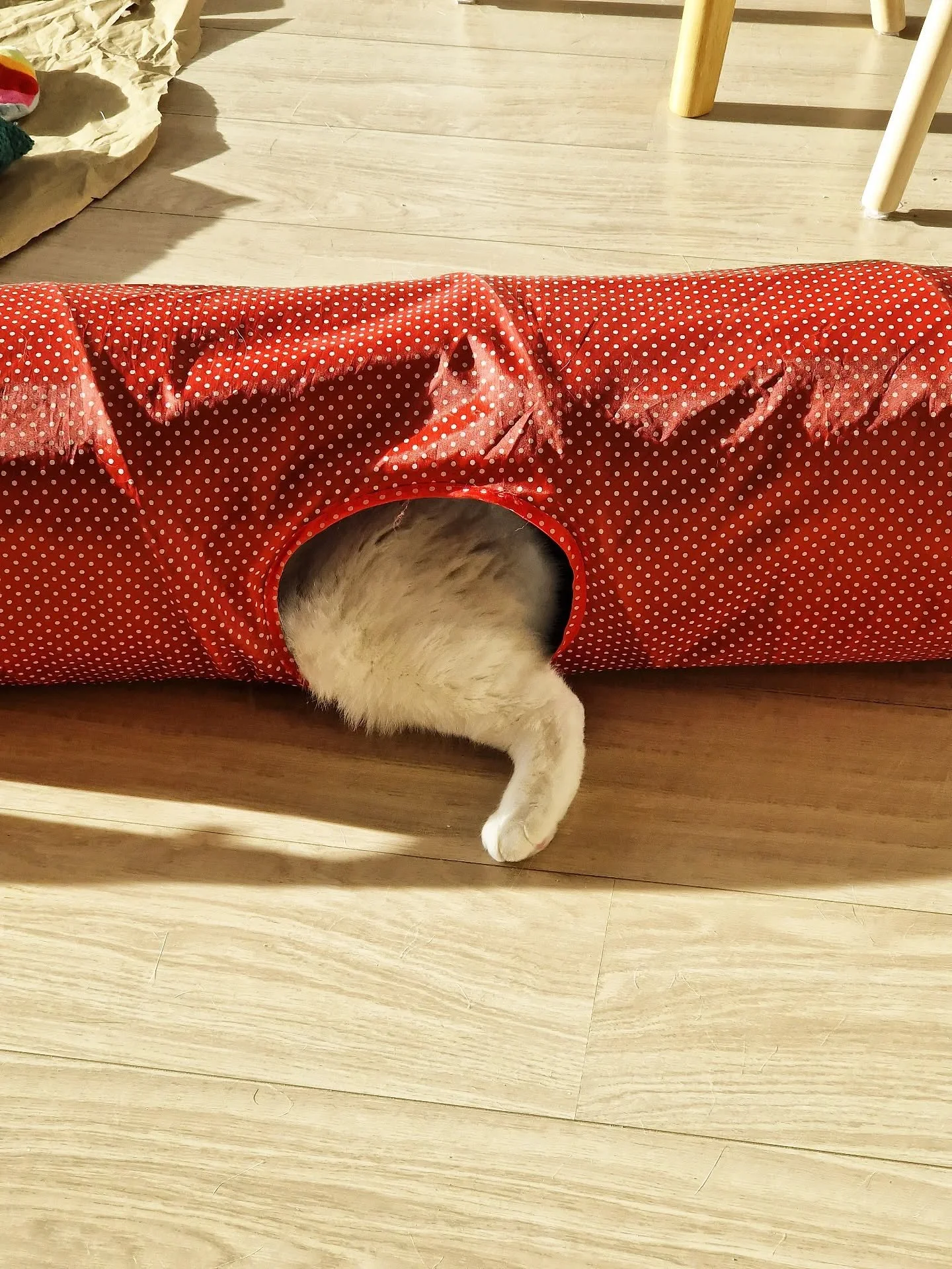 You know this mild autumn weather, when you're too hot to sleep under the winter duvet, but it's defo too cold to throw it off... It can only be the one leg out solution! 🤣😹

~~~~~~~~
Award winning Love Cats Croydon is your local, loving, professio