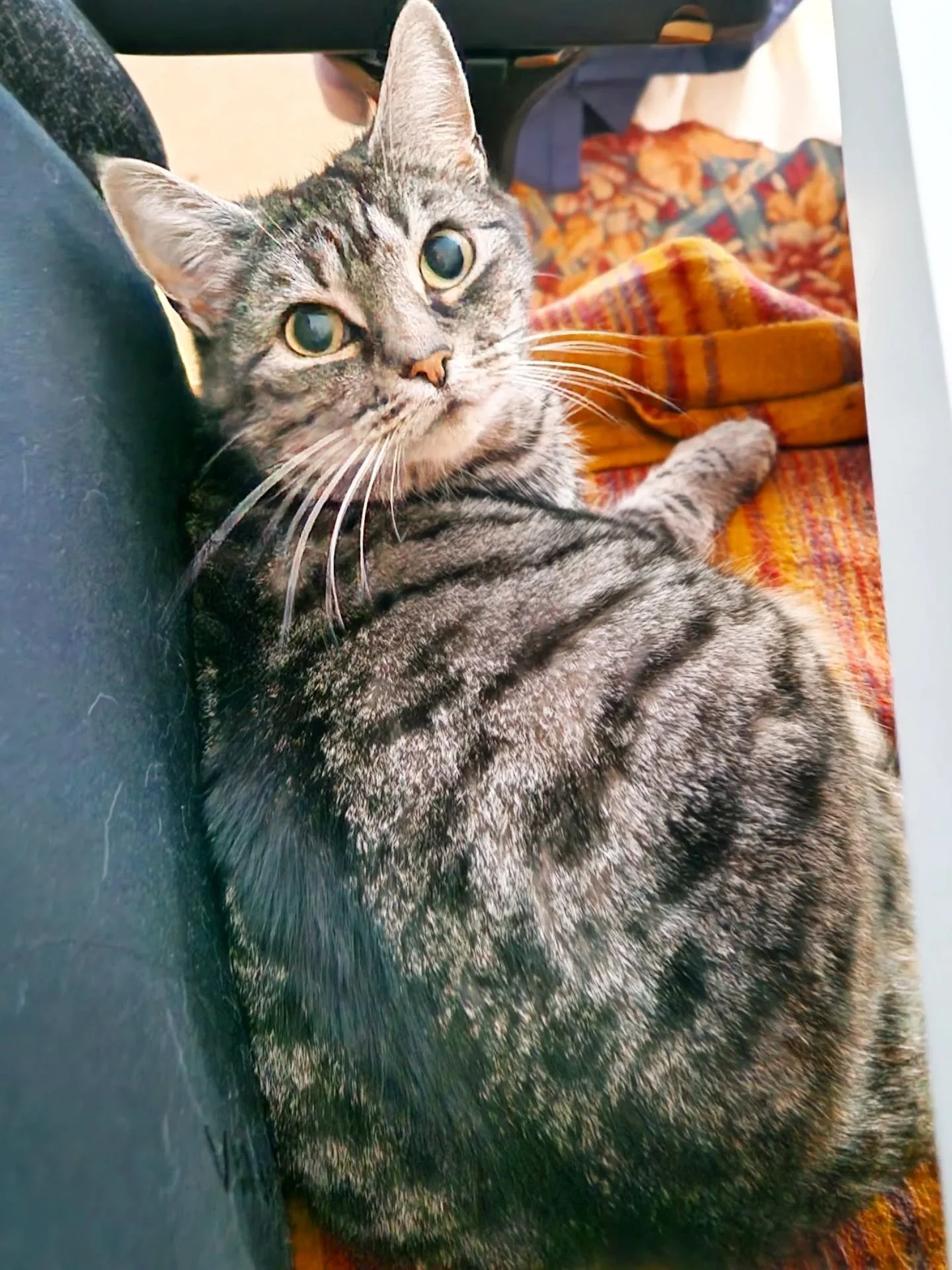 WHAT? No emails? Again? But they were fine this morning...

Yes, sorry folks just at one of the most critical times of the year, our emails are down again 😞

Literally all was fine this morning, but when I got home this afternoon to continue the adm