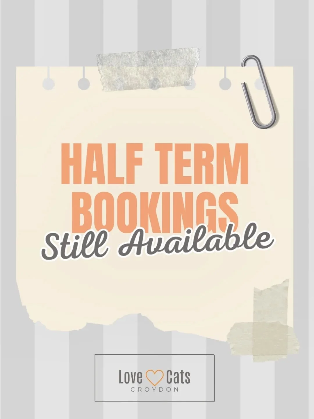 RUN dont walk! The girls have still got space! Now this almost never happens, but the team has grown, therefore so has our capacity. Whoop! It's working!) 🙌

We are ready to take on more of your kitty cat cuddling duties this Feb half term. Are you 