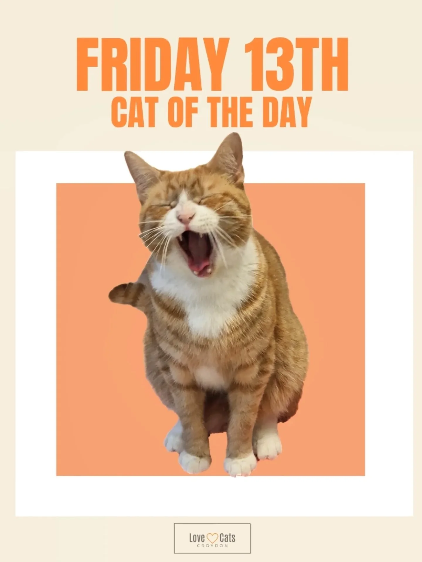 #catoftheday for #felinefriday 🐈

Meet Percy 🧡 He's been a superstar today, taking his new medicine with me, like a total champ! (Beginners luck? Yep maybe, but I'll take it as a win! 🏆💪)

On the topic of medicine&hellip; a little heads up for ou