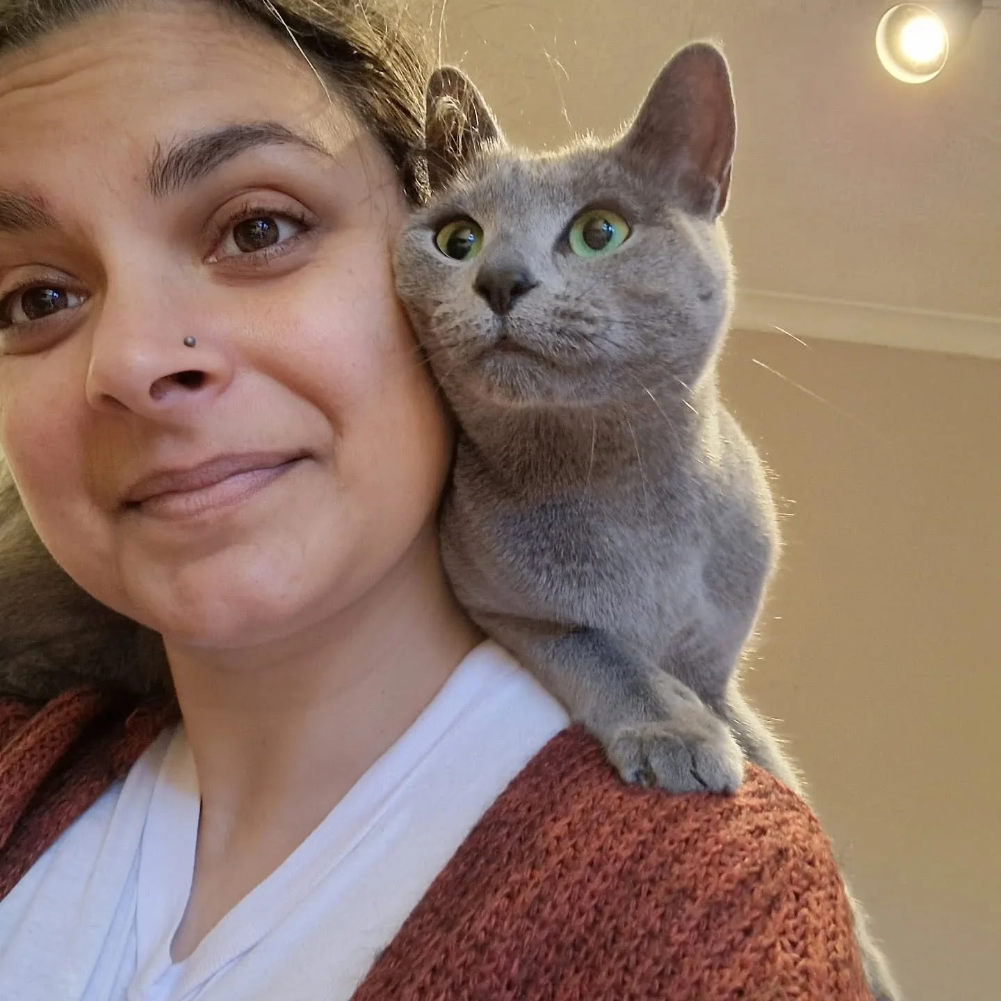 It's time. I need to delete about half the photos stored on this phone, so the kitty cat pics are going 😭 Sad times, because I LOVE looking back at some of our old clients and remembering my time with them. 
Look at this beautiful girl for example ?