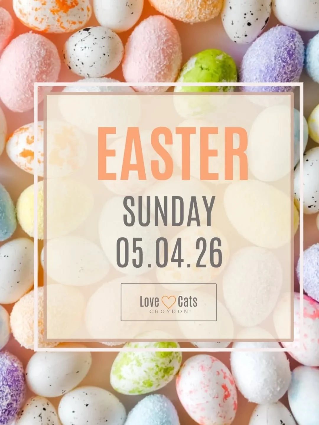 Here's your Easter Holiday reminder 🐰🐣 - it's the next big one to look forward to when Spring will be truly springing. Easter weekend plus the week after are booking up fast, so don't forget to book your cat sitter when you book your Easter break ?