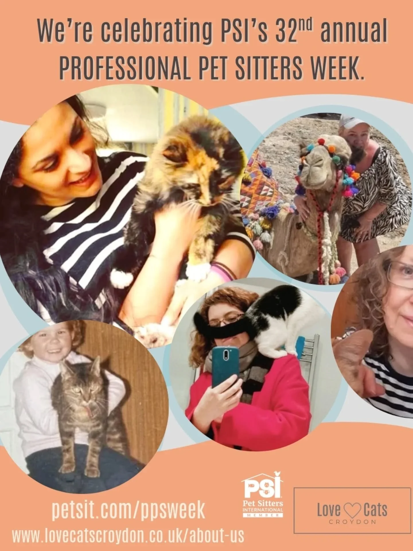 Still celebrating annual #professionalpetsittersweek and wanted to highlight my dream team of cat caring pros. Some of you have been lucky enough to meet these girls, but more importantly - your kitty cats have enjoyed their time with this fabulous #