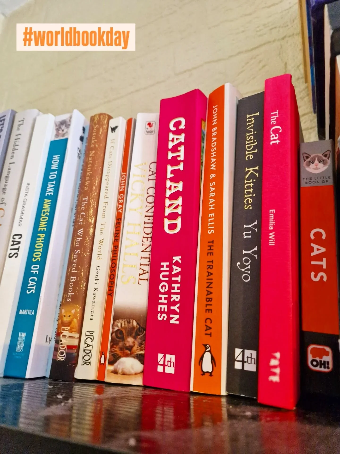 Celebrating #worldbookday with my growing collection of cat themed books 📚 Any others you would recommend?
Texts and educational, fiction or anything else. 

Always wanting more books before I've read the ones I've got (cant just be me right?) - it'