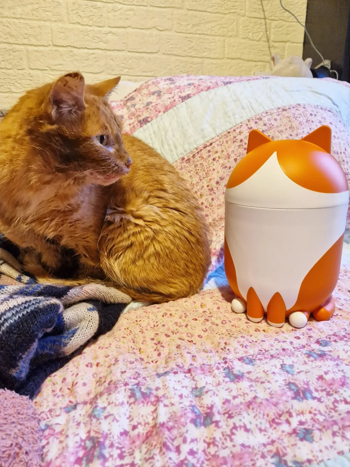 When Crumpet met GREJSIMOJS! @ikeauk 🧡

(And with thanks to my lovely client who picked this up for me - some of you know me too well ! 🤗🐈)

~~~~~~~~
Award winning Love Cats Croydon is your local, loving, professional cat sitter. We specialise in 