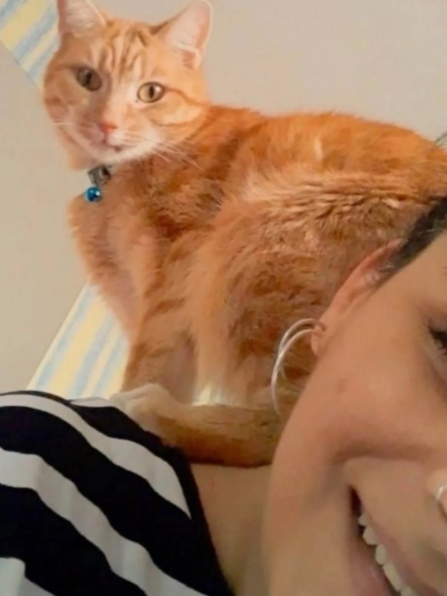 Happy Cat Mother&rsquo;s Day to all the cat mums out there 🐈🧡

Here&rsquo;s a few treasured photos of me and my boy from when he was well. He&rsquo;s still right here - currently curled up on my lap having a cuddle (Scroll to see in last pics)

Som