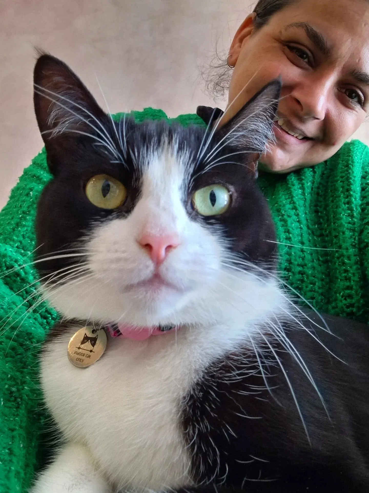 Hello Monday! 👋 Hello British Summer Time 👋 Hello gorgeous girl 🐈&zwj;⬛️ Look at this lovely lady enjoying some laptime at her recent visit 🧡🧡

~~~~~~~~
Award winning Love Cats Croydon is your local, loving, professional cat sitter. We specialis