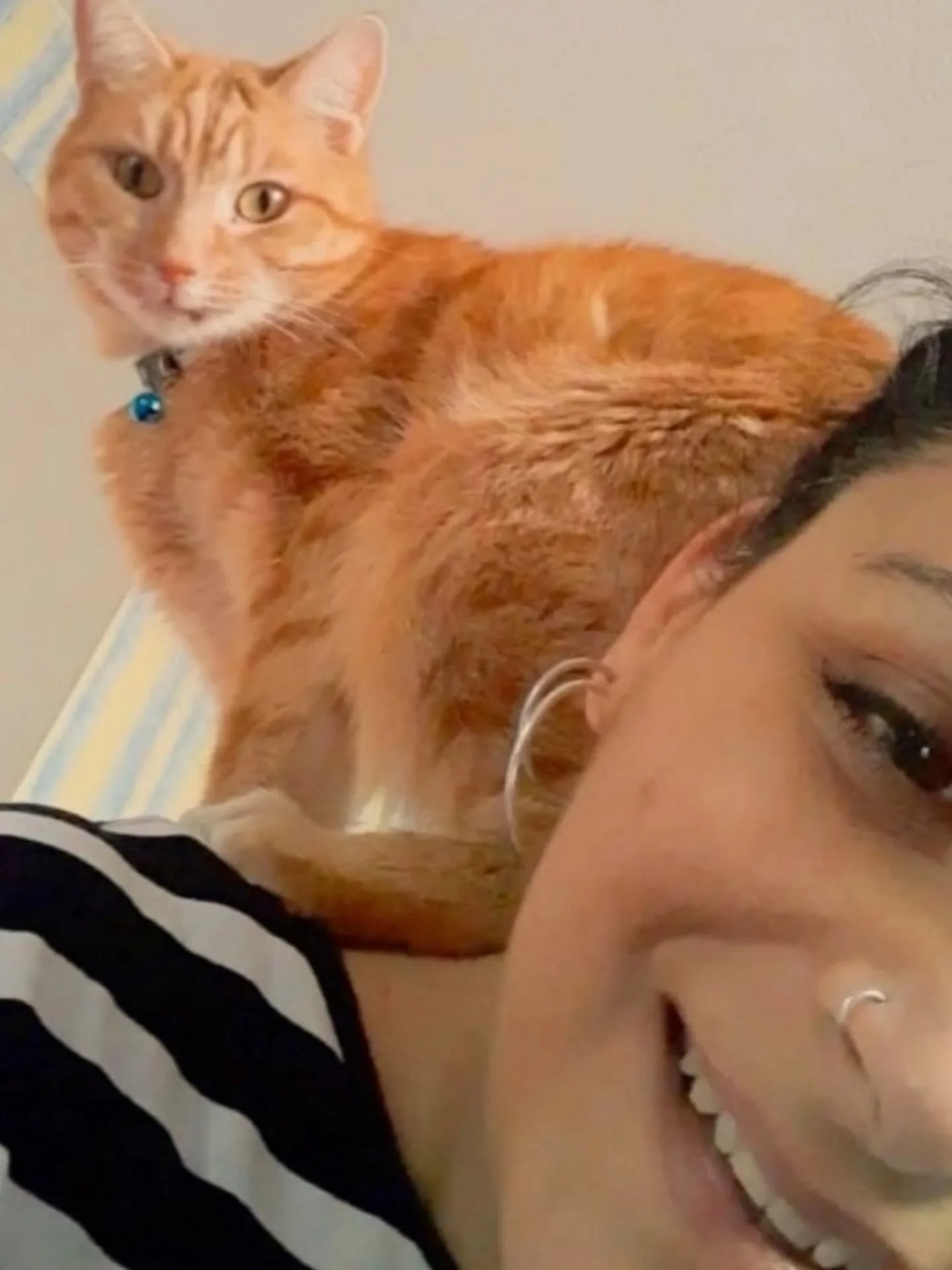 My business is CATS and I'm a LADY (well...😅) so today we celebrate because it's National Cat Lady Day! 🐈 🎉

Here's to all my fellow cat ladies🐈&zwj;⬛️🥂 Did you know @lovecatscroydon is female founded, female led and currently ALL our catsitters