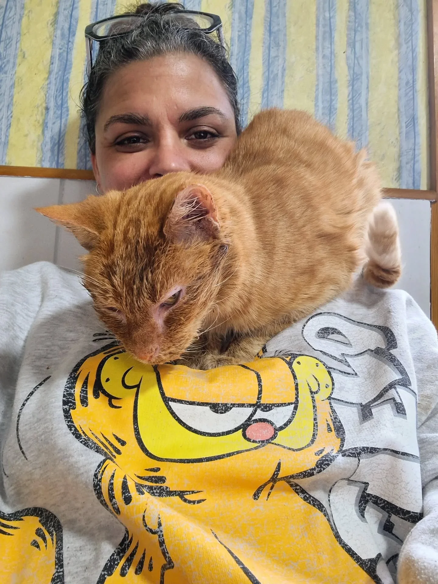 Happy gotcha day to me and Crumpet.
7 years today since I lost all personal space and gained an orange shadow.

Love this boy with all I've got 🧡

~~~~~~~~
Award winning Love Cats Croydon is your local, loving, professional cat sitter. We specialise