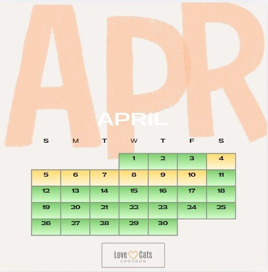 Love Cats Croydon Cat Sitters Availability Calendar - April 2026