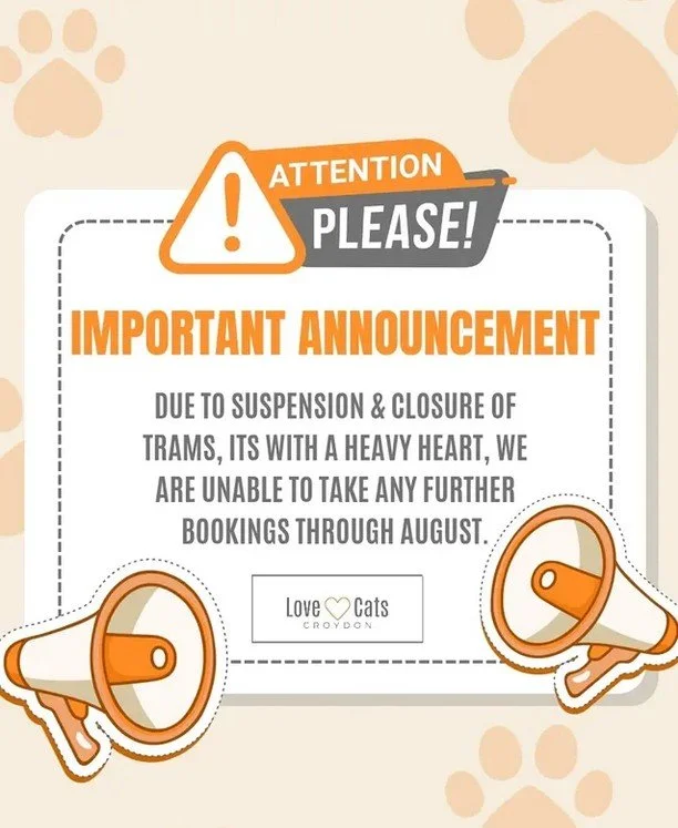 no more aug bookings until further notice.jpg