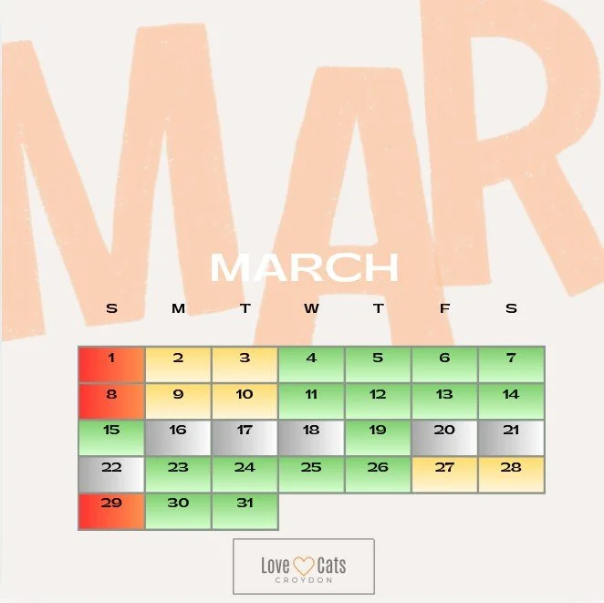 Love Cats Croydon cat sitters availability calendar March 2026