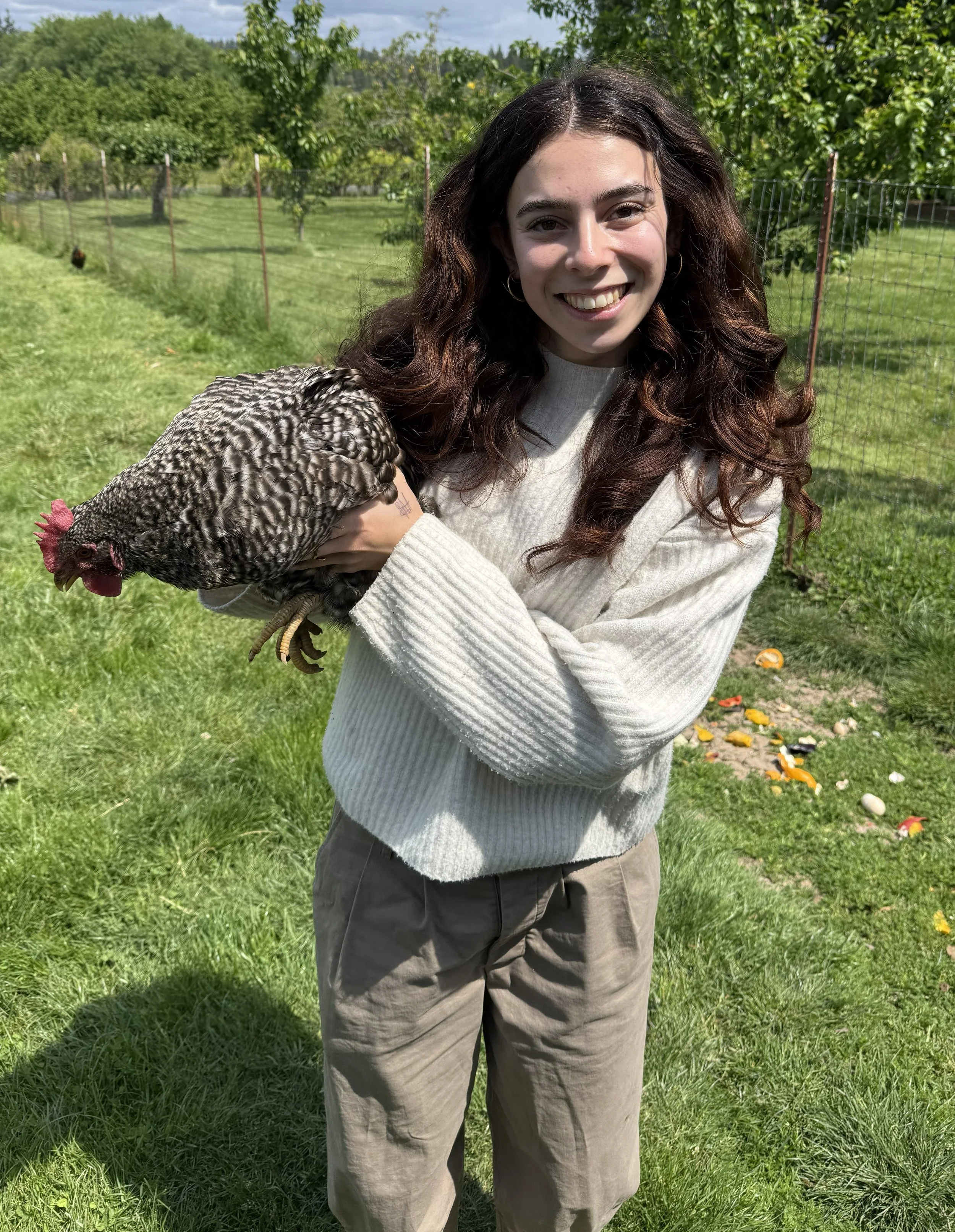 Daphne with chicken