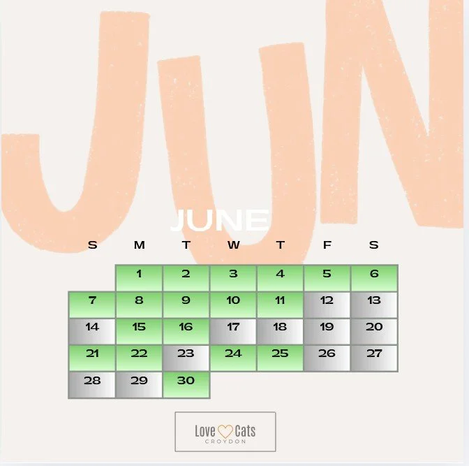 Love Cats Croydon cat sitters availability calendar June 2026