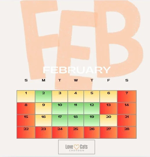 Love Cats Croydon Cat Sitters Availability Calendar - February 2026