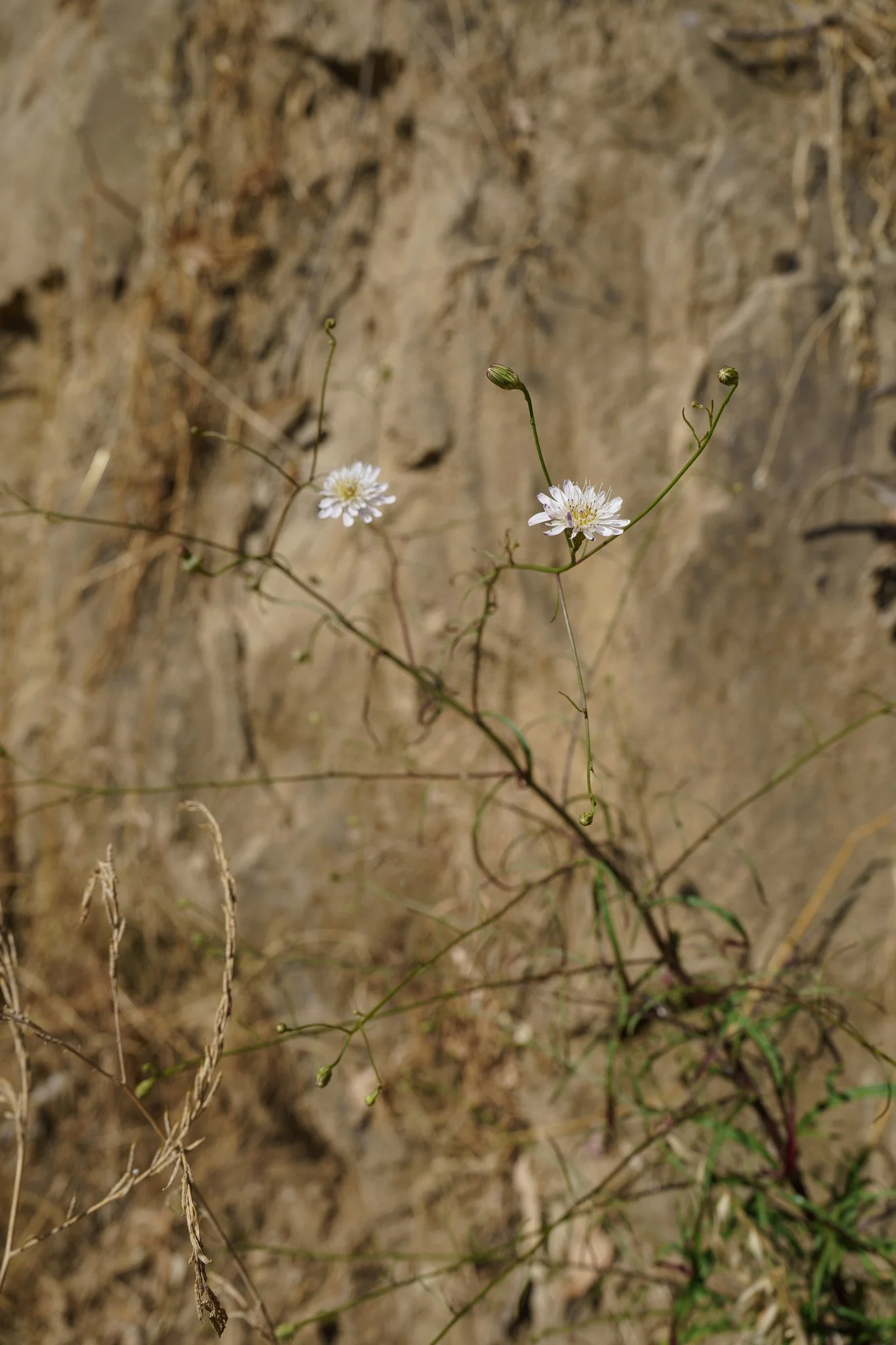 260415-6863.jpg