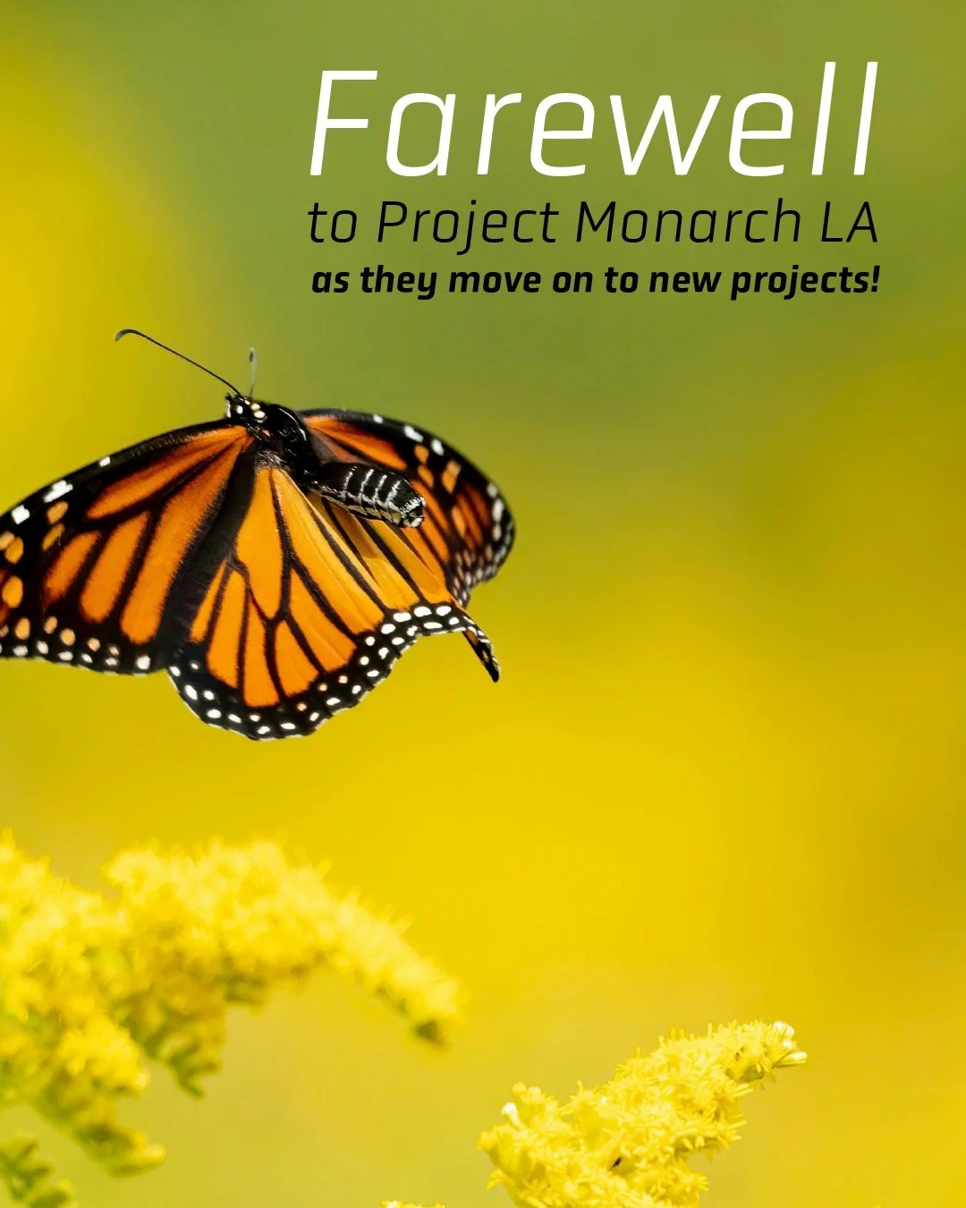 &mdash;&mdash;> The Friends of Elysian Park are incredibly grateful to @projectmonarchla for their efforts in building the monarch habitat at Victory Memorial Grove in Elysian Park. April 19th marked the conclusion of our partnership as they embar