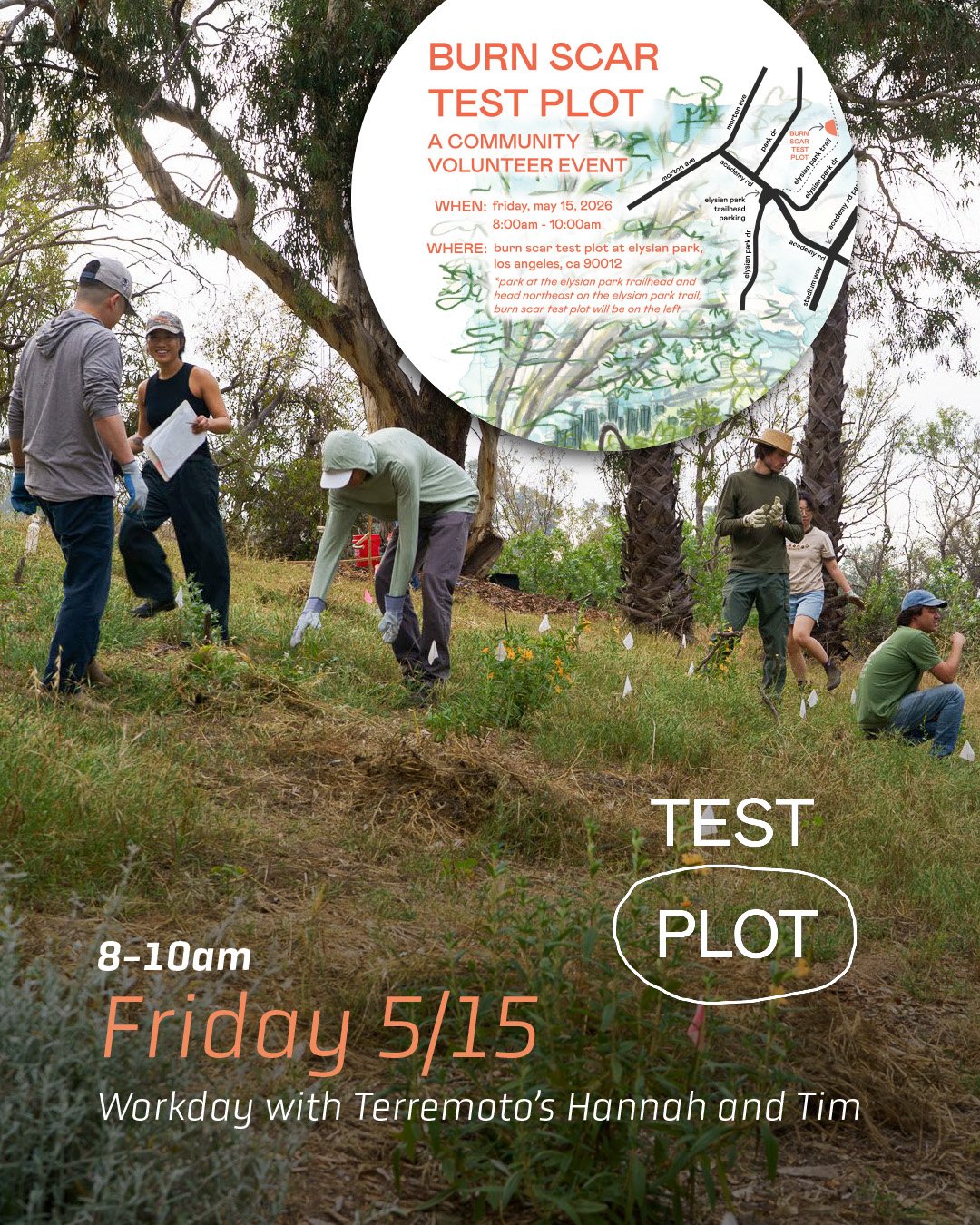 &mdash;&mdash;> This Friday May 15th - come to Elysian and help @test_plot and @terremoto_landscape maintain some native habitats. Directions to the plots are in our Linktree. Please bring water, sun protection and gloves/tools (extras will be ava