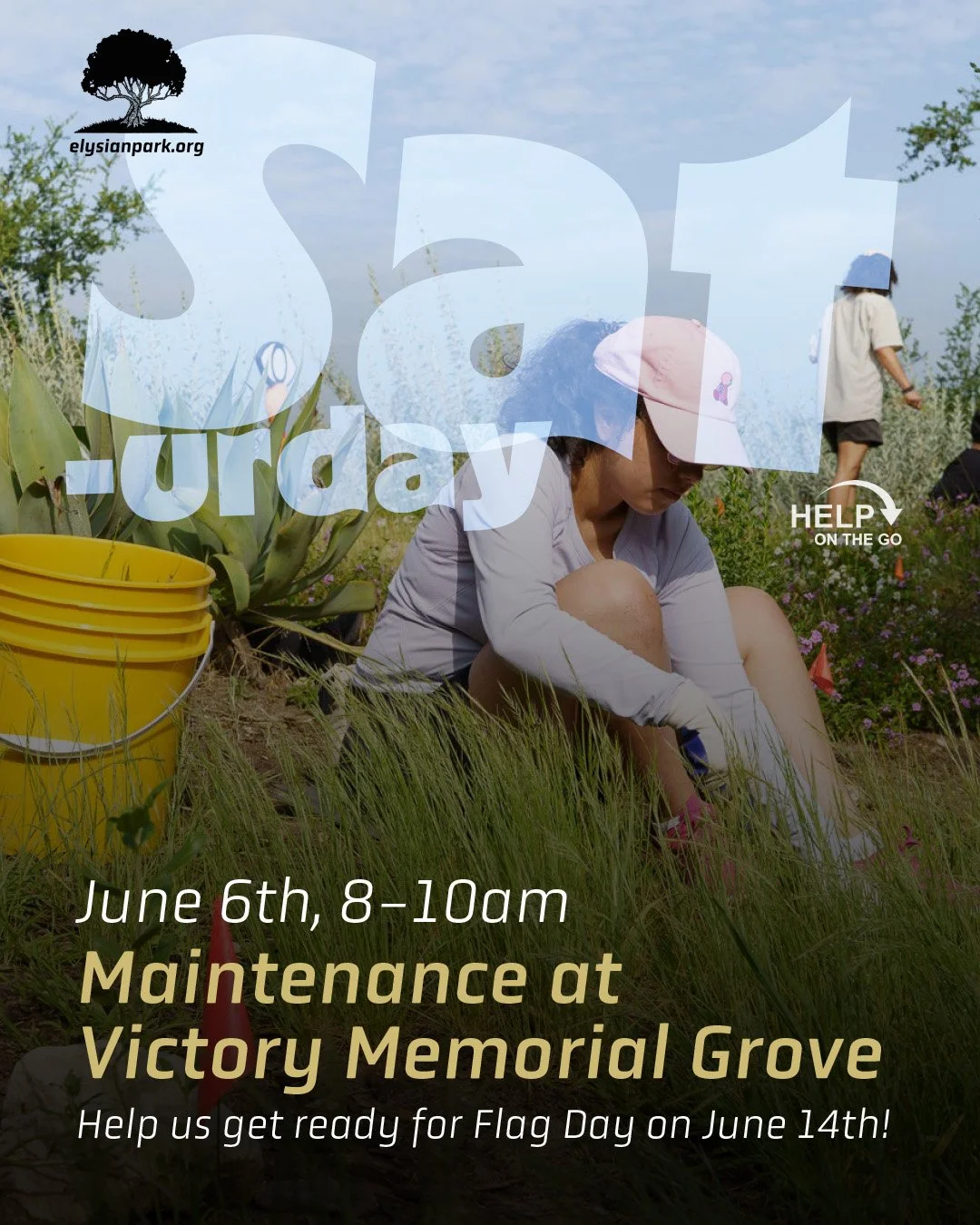 &mdash;&mdash;> We&rsquo;re getting Victory Memorial Grove ready for next weekend&rsquo;s Flag Day celebration! 

We&rsquo;ll be watering, weeding, and checking on the milkweed. There&rsquo;s lots of London rocket (invasive arugula) that needs to 