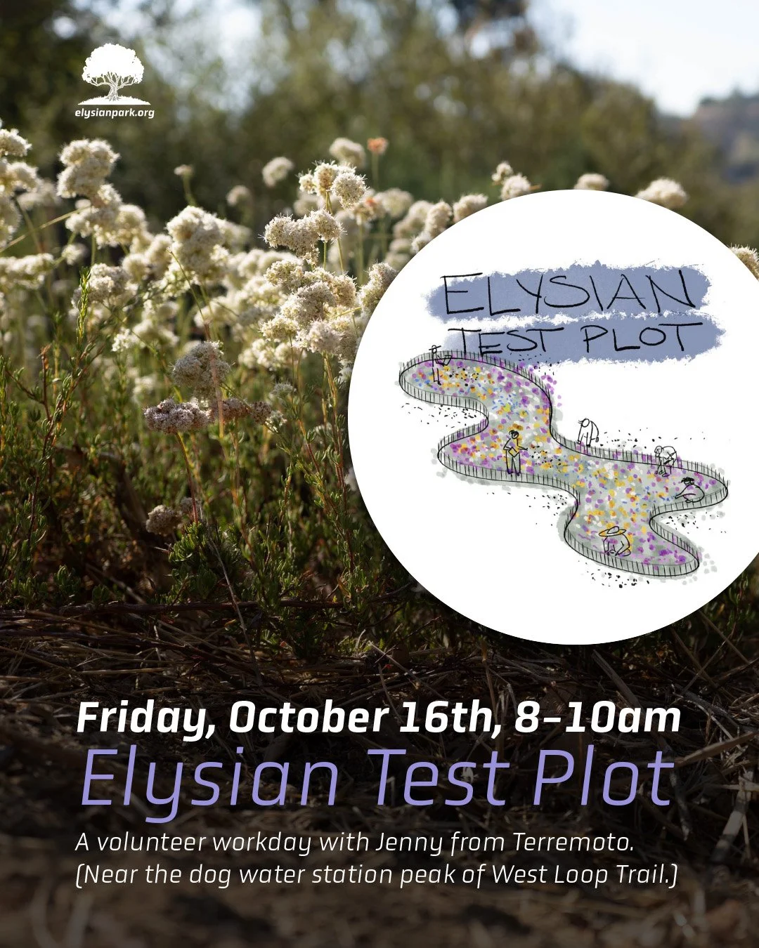 &mdash; Another early Friday AM with @jennyajones from @terremoto_landscape! Let's give her a hand at the original @test_plot There will be watering, weeding, pruning, and more. Bring water, sun protection, gloves and tools (a few extras will be on h
