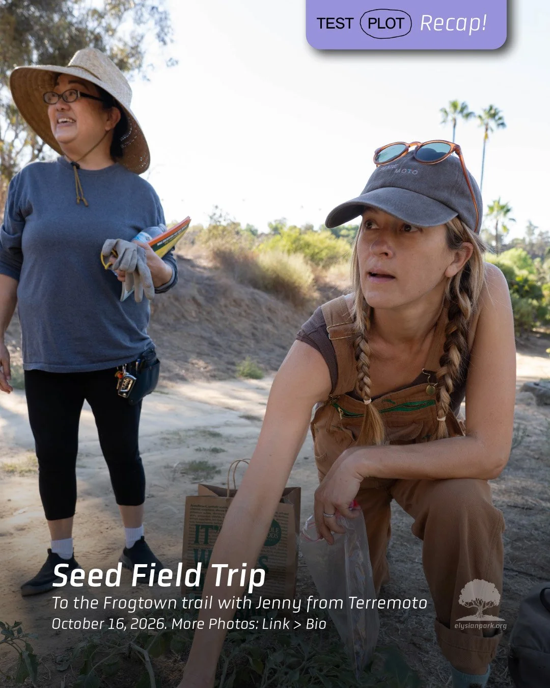 &mdash; On Friday @jennyajones from @terremoto_landscape had us collecting buckwheat and goldenbush seeds at the top of the West Loop Trail for @test_plot Then we took a field trip to the Frogtown Trail to find clarkia and monkey flower seeds. On the