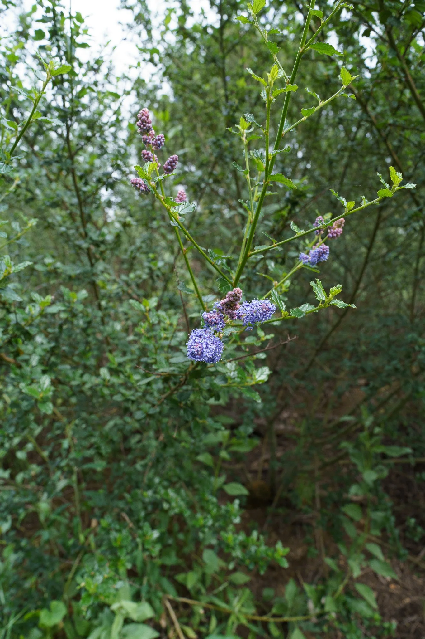 260215-8910.jpg