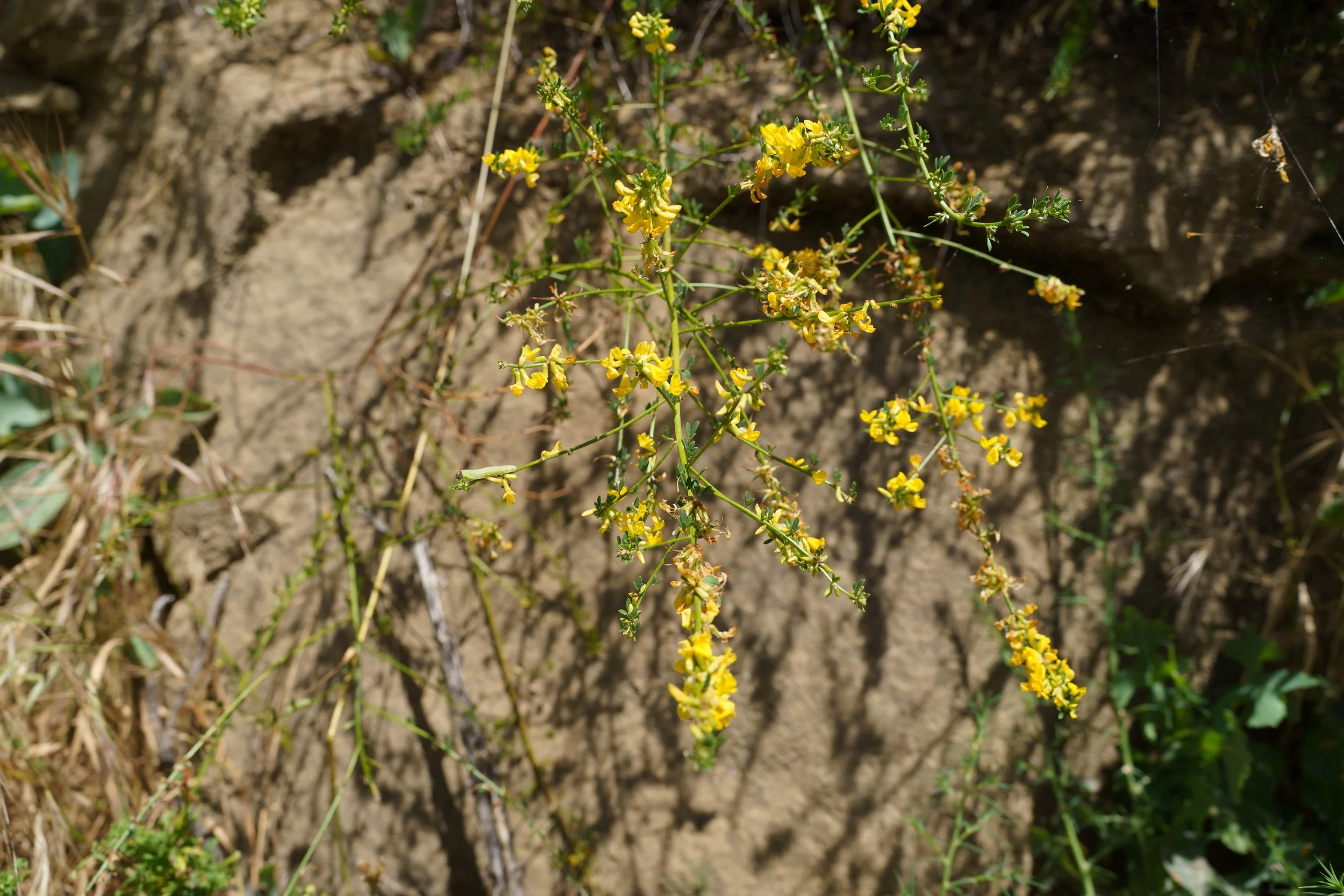 260404-4678.jpg