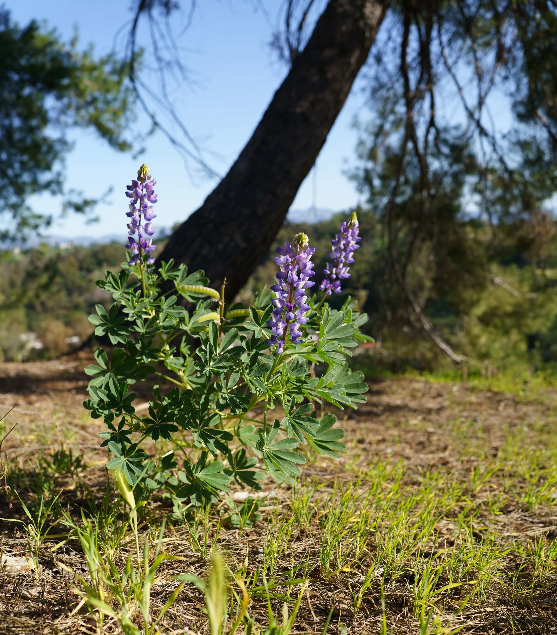 260131-6436.jpg