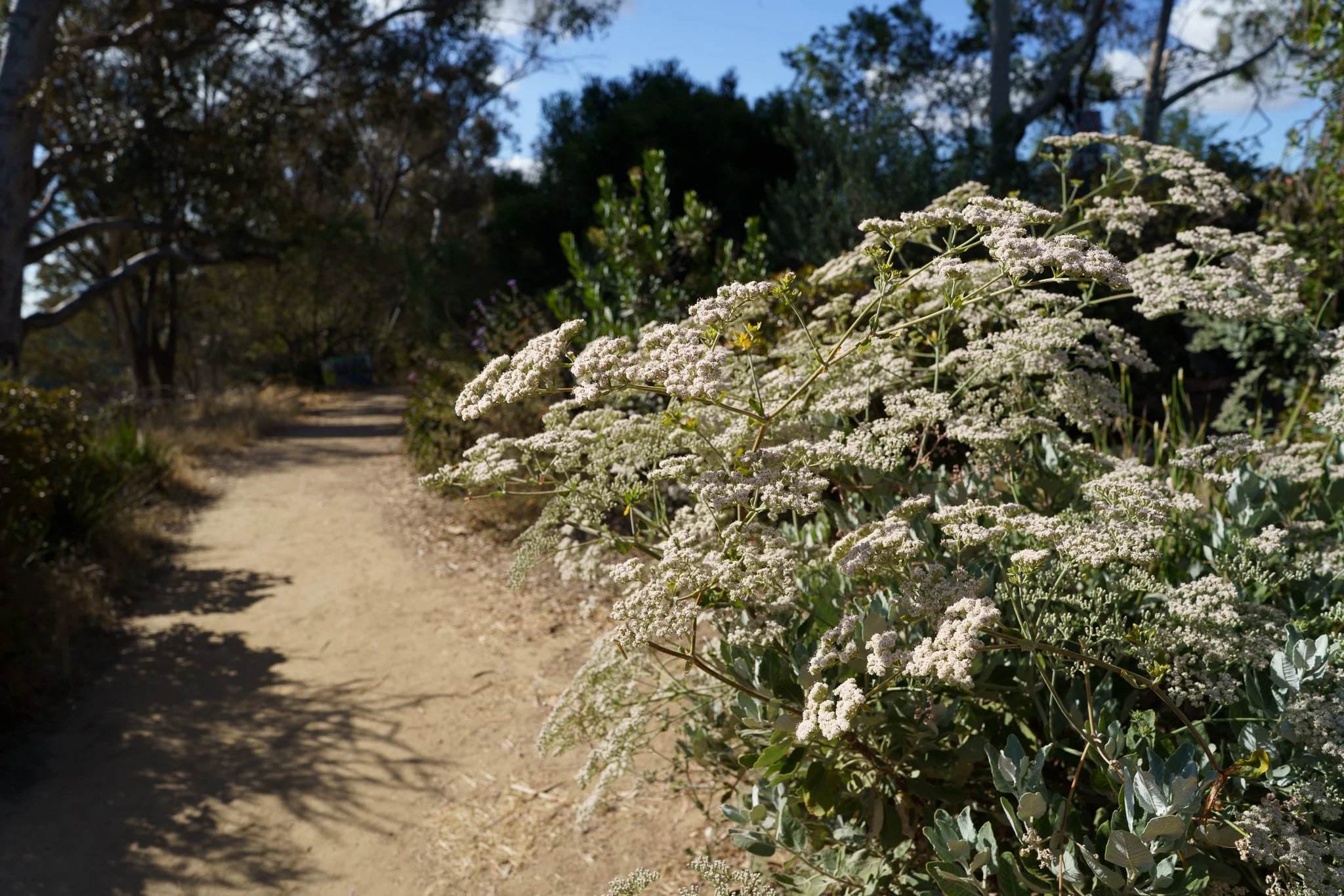 260529-0564.jpg