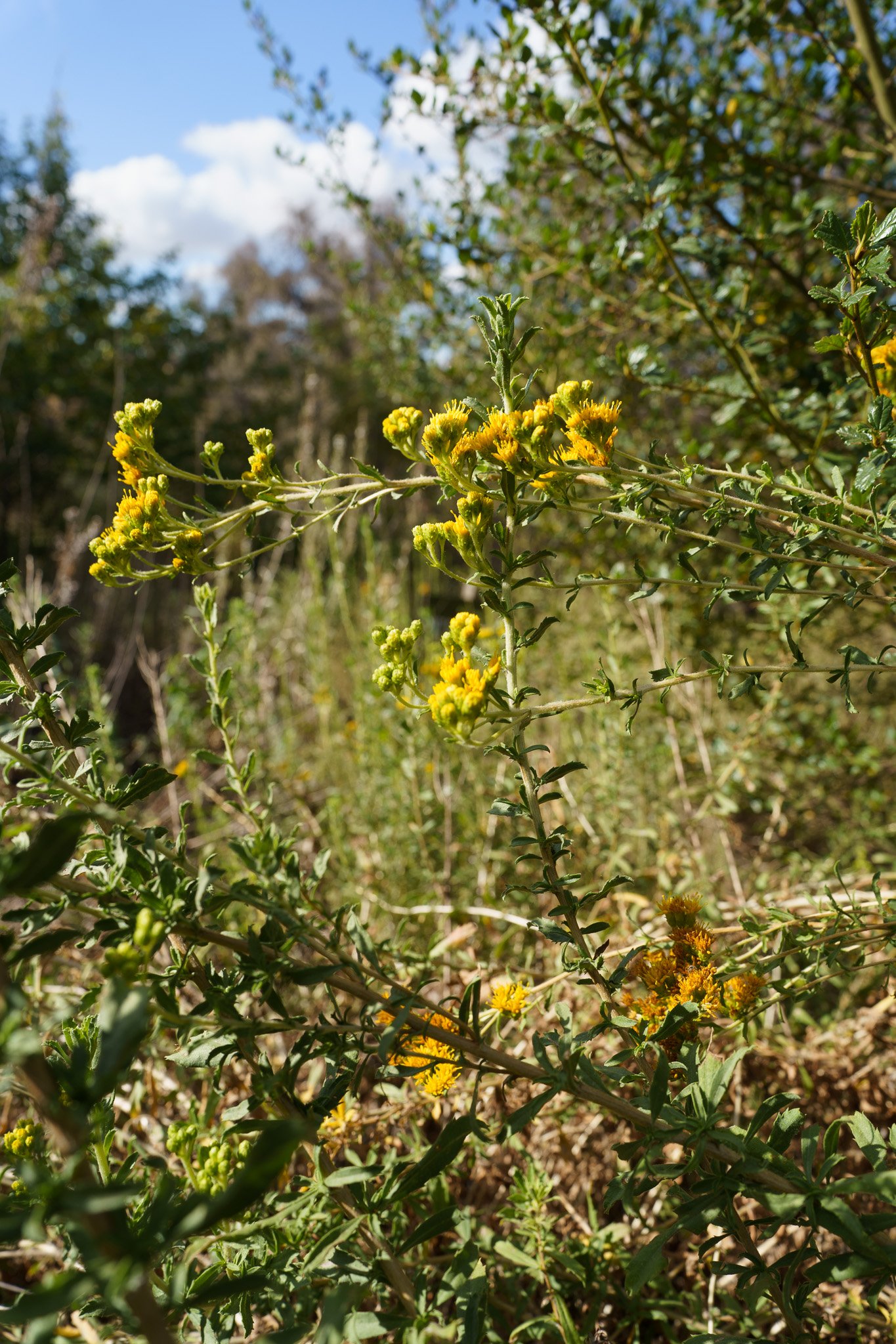 260529-0590.jpg