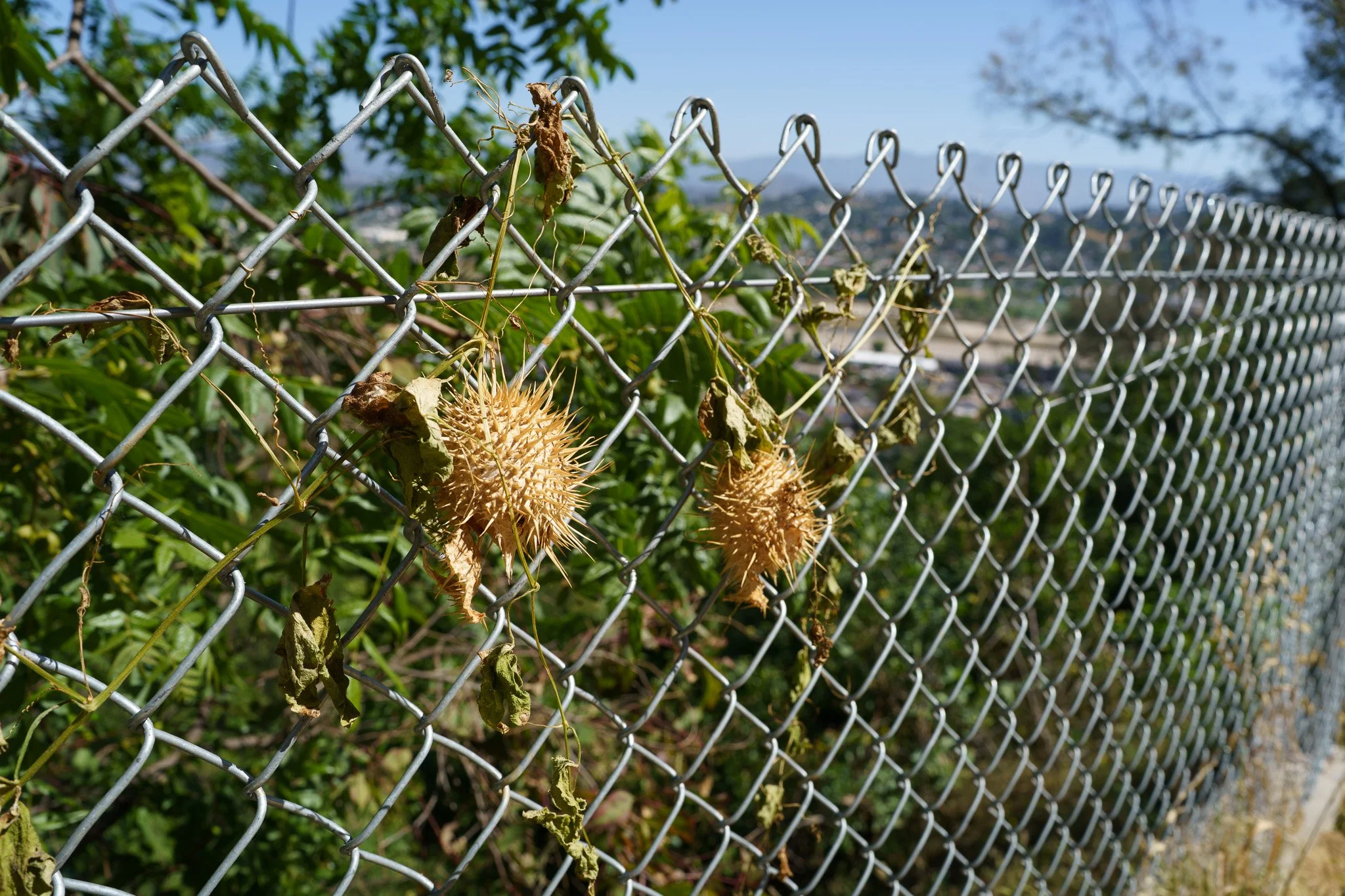260415-6880.jpg