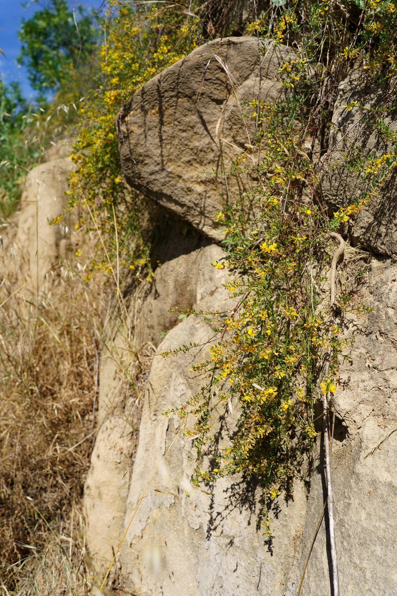 260404-4680.jpg