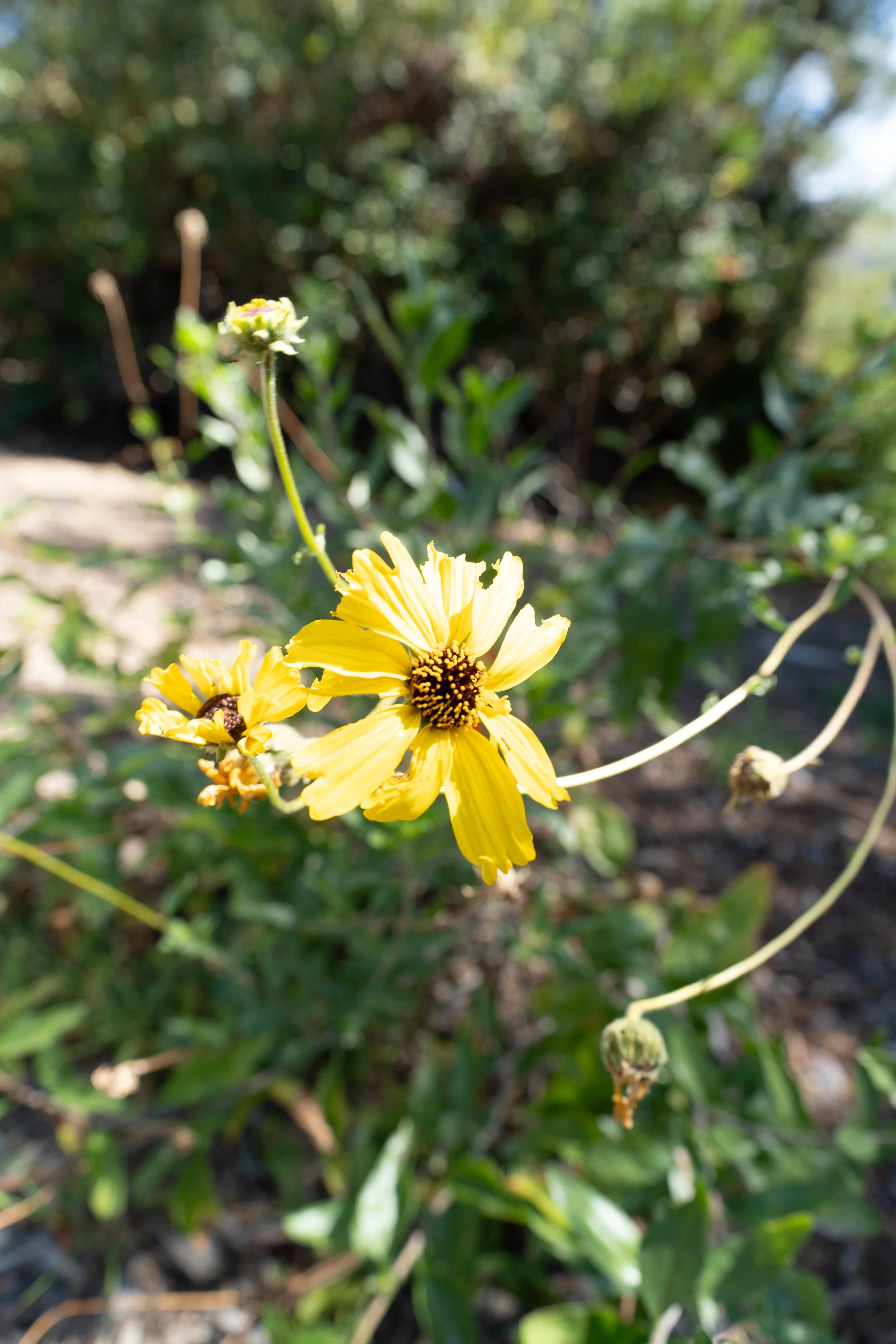 260708-7763.jpg