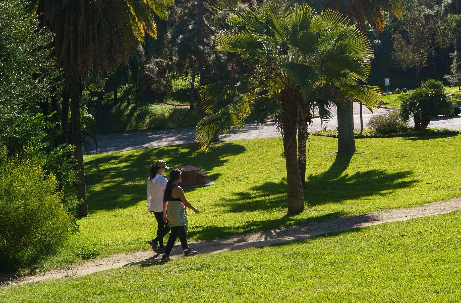 260129-5756-CROP.jpg