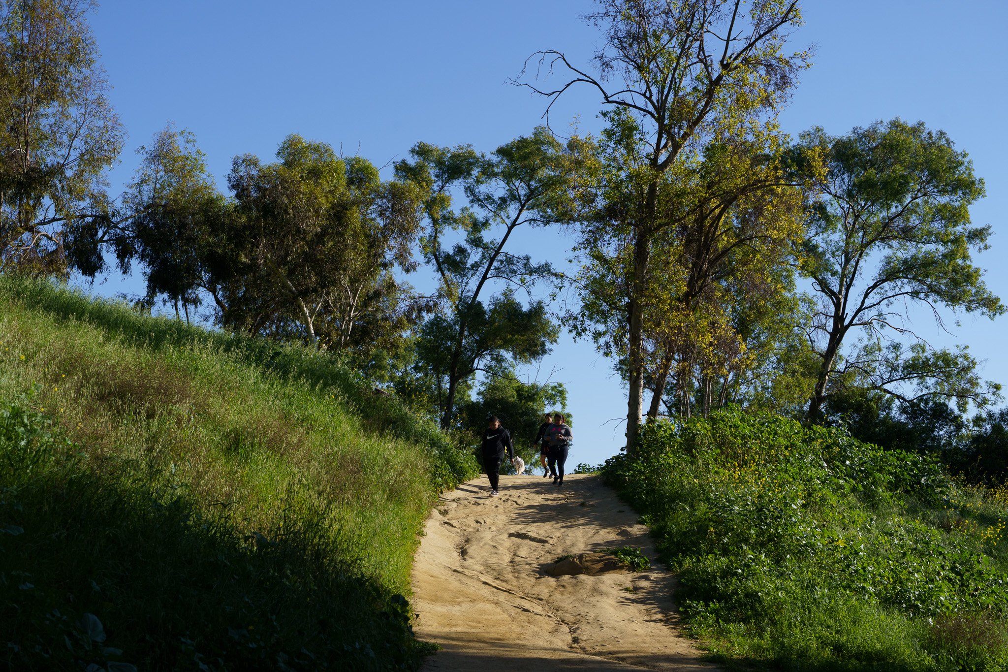260129-5281.jpg